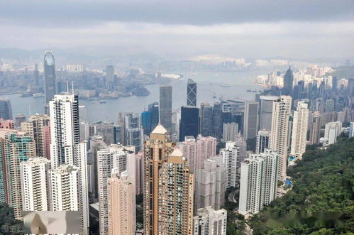 掌握以下幾點,上海落戶變簡單 問題