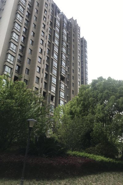 恒文星尚灣優(yōu)點 不足,恒文星尚灣怎么樣,恒文星尚灣周邊房產中介經紀人評價